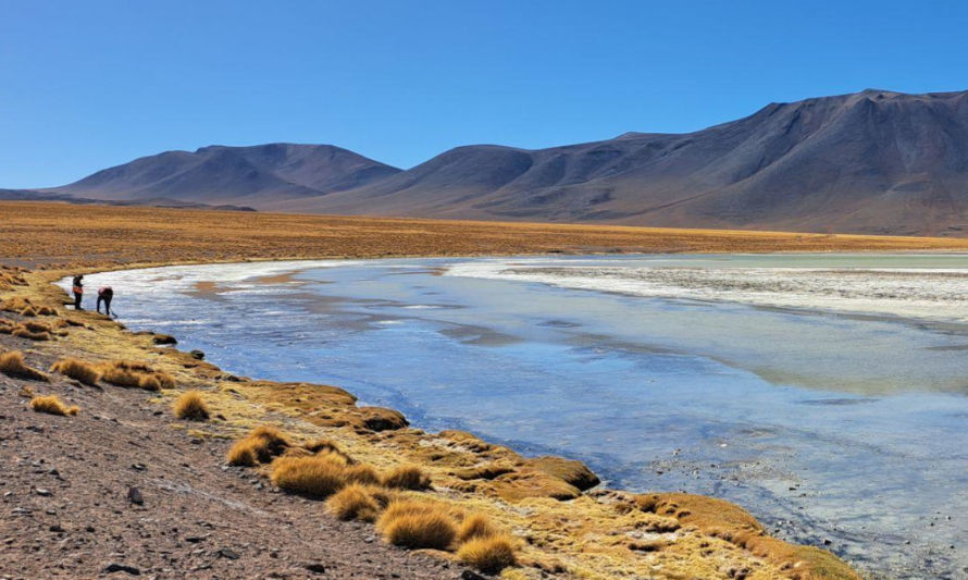Antofagasta: AMTC liderará proyecto transdisciplinario de gobernanza hídrica de salares 