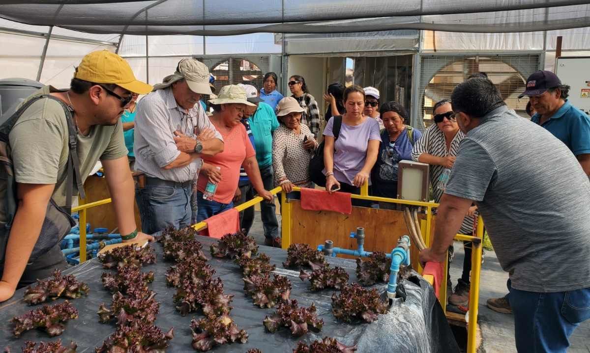 Agricultores de la comuna de San Pedro de Atacama  profundizan conocimientos en hidroponía a través de una capacitación