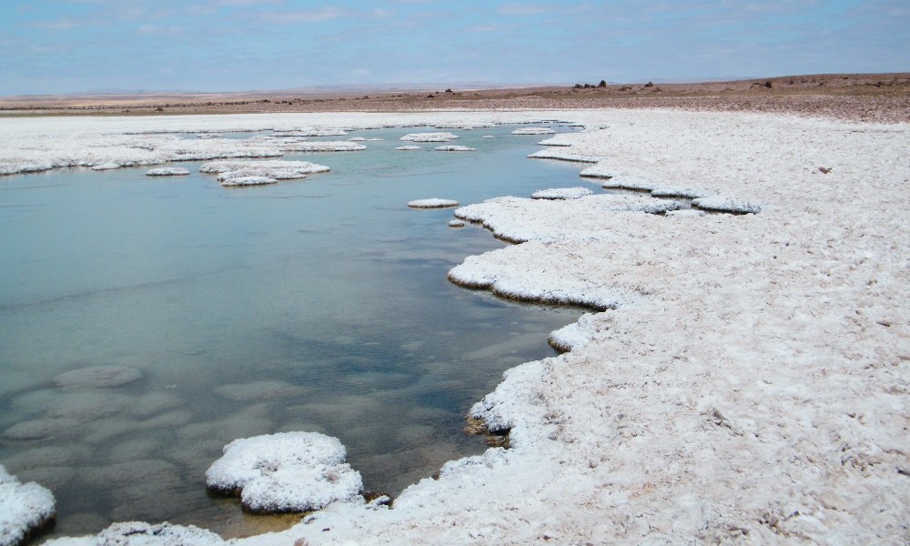 Tribunal Ambiental ordenó el cierre temporal de pozos de SQM en minera Pampa Hermosa