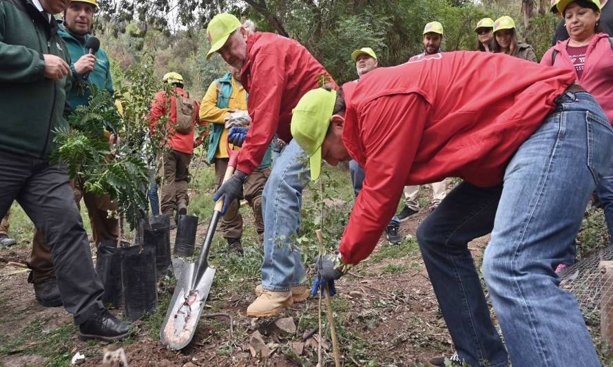 Minería es la primera cartera acreditada en "Estado Verde"
