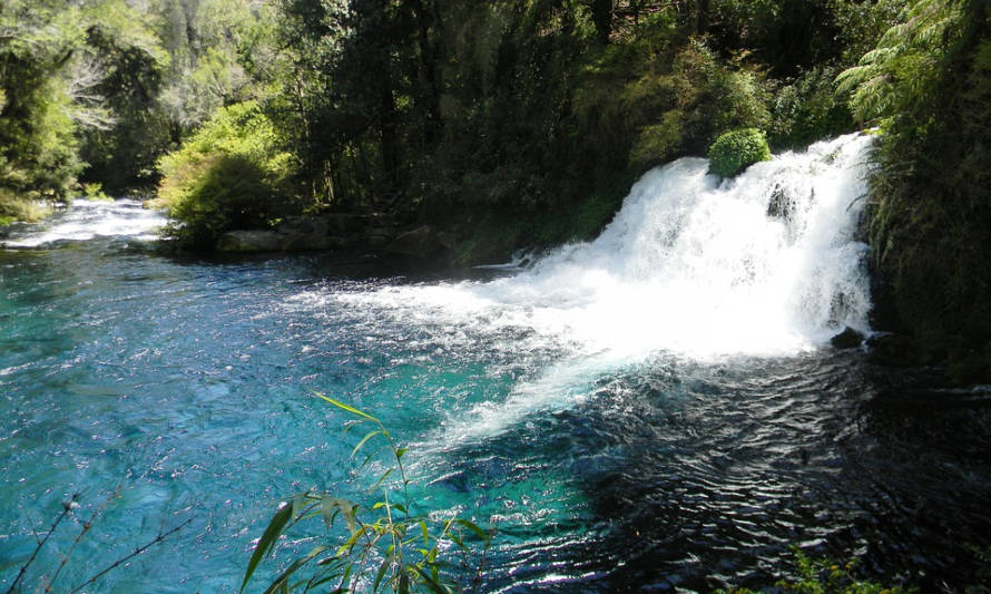 Hidroeléctrica cedió derechos de agua del río Puelo para la protección y conservación del caudal