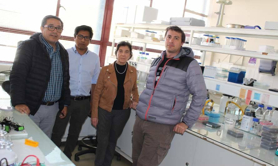 UCN realiza primera transferencia tecnológica de software para biolixiviación
