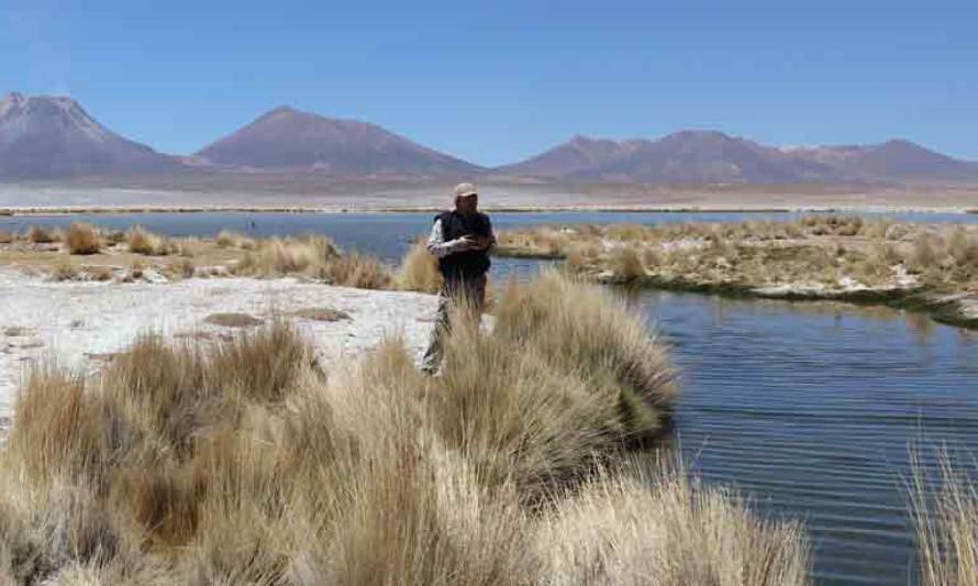 Tribunal Ambiental acogió reclamación de asociación de Coposa en contra del programa de Collahuasi