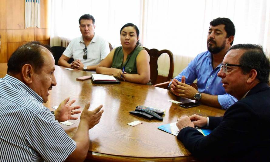 Empresa boliviana se instalará en Arica y usará beneficios tributarios para exportar acero