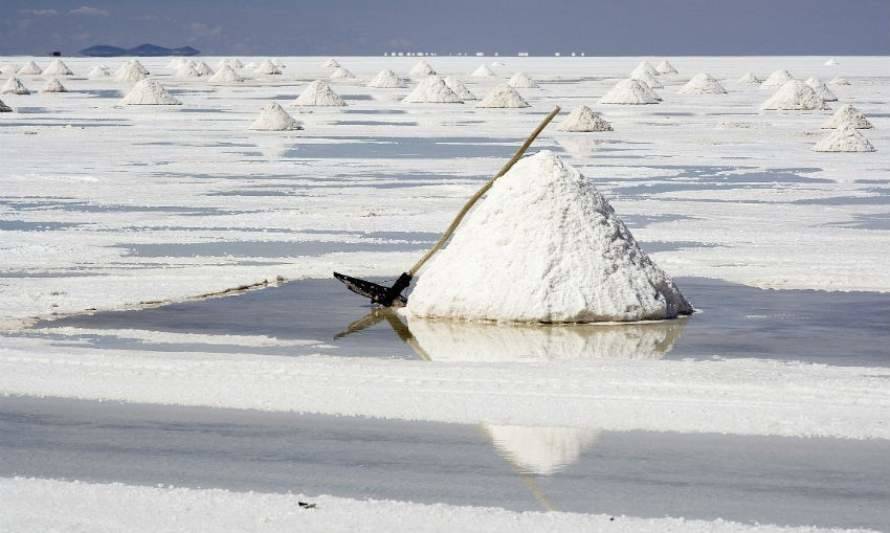 Codelco ingresa DIA para iniciar exploración de litio en el Salar de Maricunga