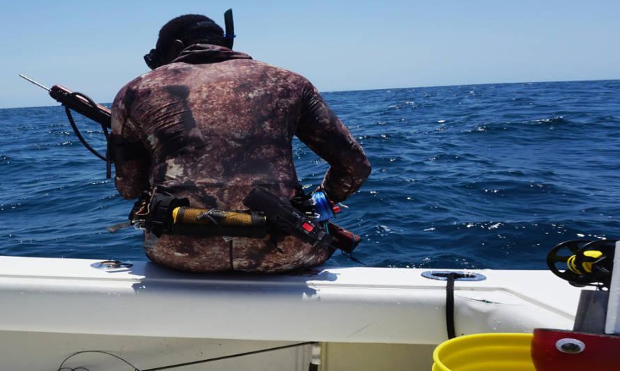 Realizan la primera Cooperativa de pescadores artesanales y buzos de Tocopilla 