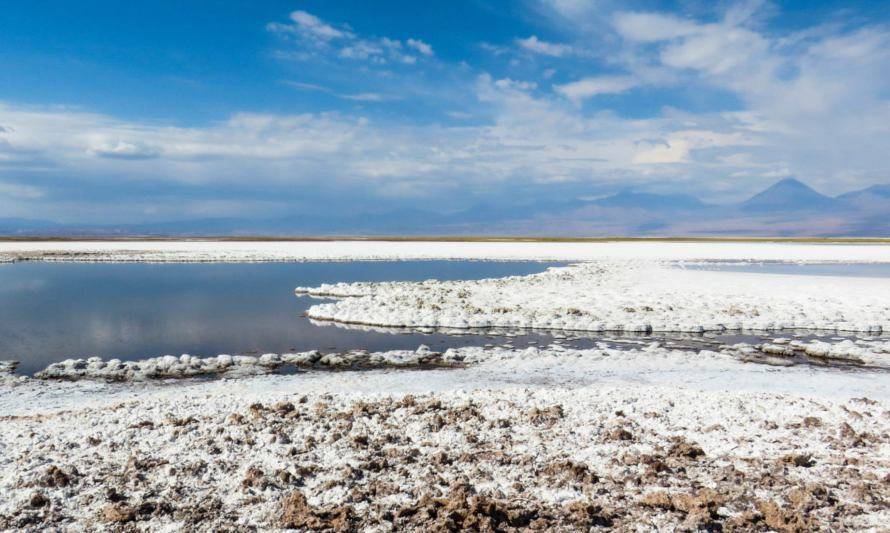 Proyecto de litio podría potenciar el mercado estratégico de fertilizantes