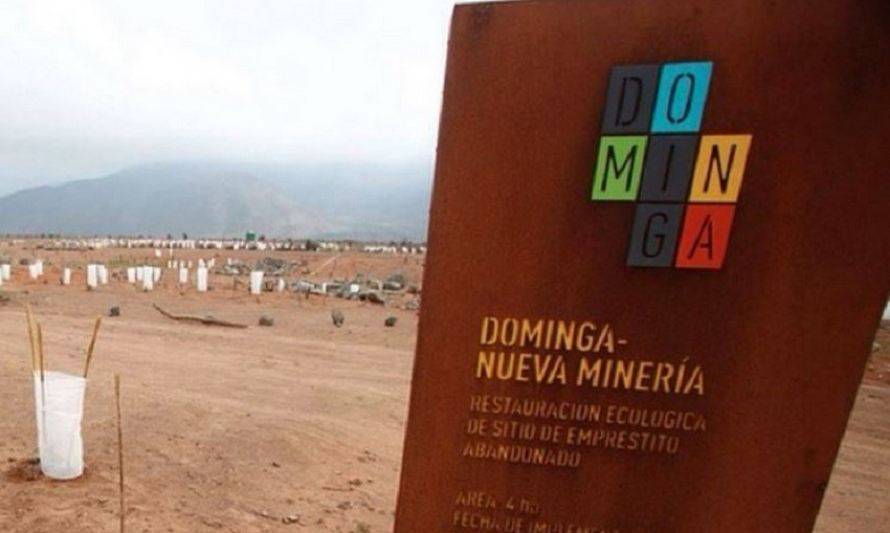 CORE acuerda apoyo al proyecto Dominga