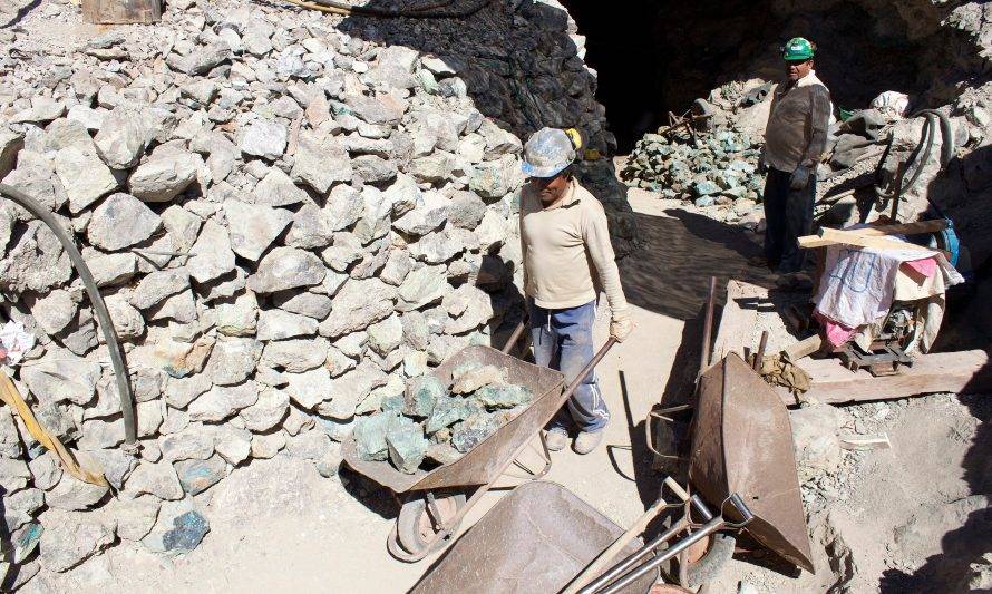 Tesorería comunicó proceso de remate de patentes mineras 2020