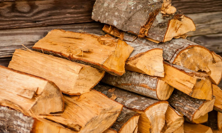Aysén se adjudica tres proyectos de biomasa para la región 

