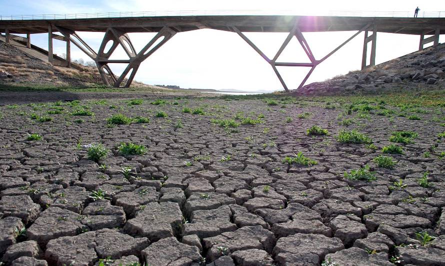 Pandemia, cambio climático y sequía
