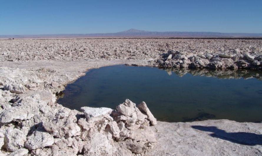 AMTC ganó fondo para proyecto de recuperación de agua desde salmueras de litio