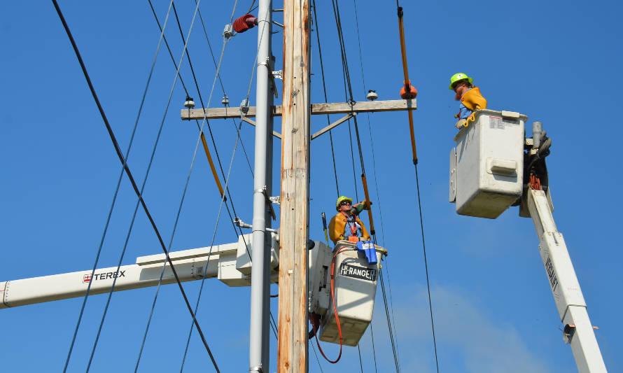CNE realizará licitación de suministro eléctrico para el primer semestre de 2021

