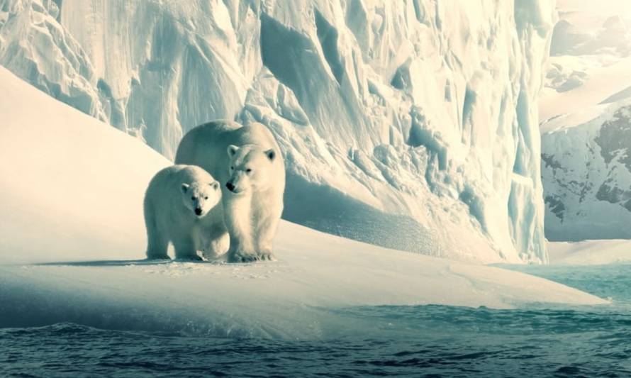 10 imperdibles documentales sobre el planeta y su naturaleza