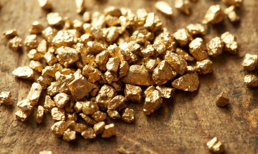 Recuperan oro utilizando reactivo ecológico