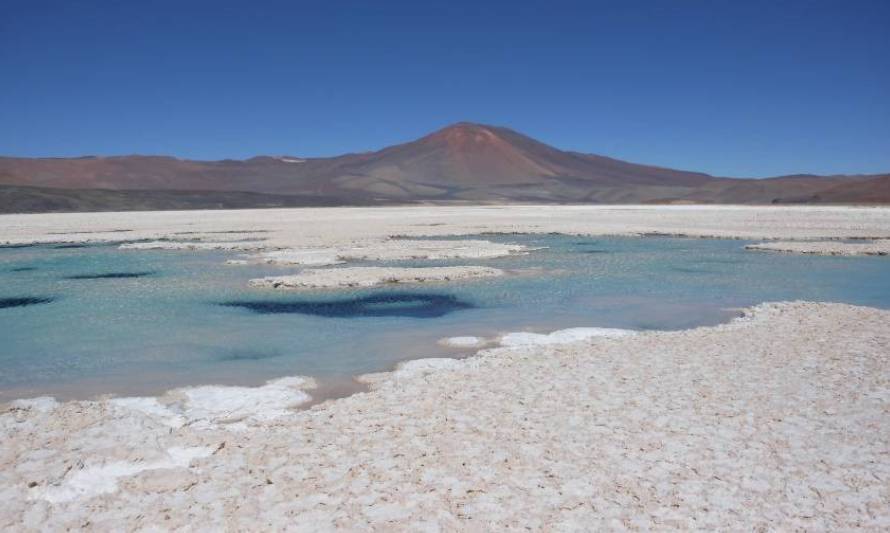 Preparan sondajes en proyecto argentino de litio