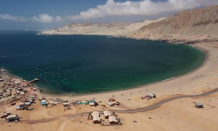 Proyecto acuícola minero inició producción de especies marinas en costa de Taltal