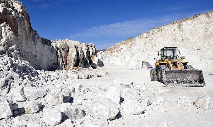 La producción minera en Argentina registró una caída del 30% en 2020