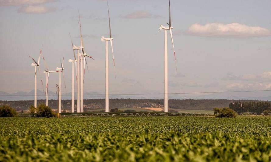 Melón operará con energía 100% limpia en la totalidad de sus plantas cementeras