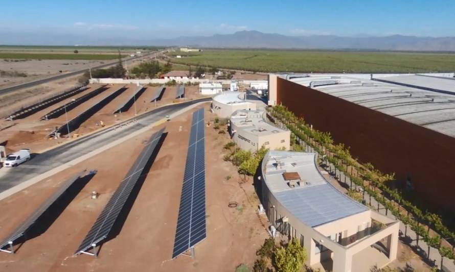 Compañía Pisquera de Chile instaló paneles solares en planta de Ovalle