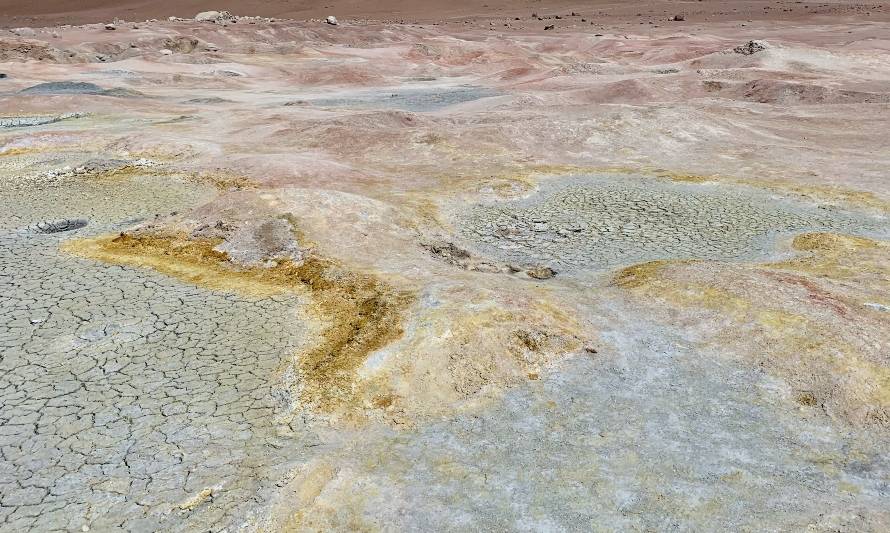 Bearing Lithium apuesta a la expansión del recurso de litio en Maricunga