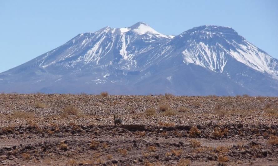 Minera El Abra presentó su informe anual de gestión social y ambiental 2020