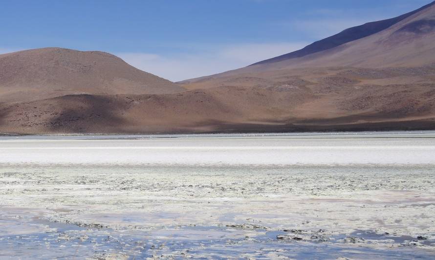 Descubren nueva zona con salmuera de alta ley en Tres Quebradas