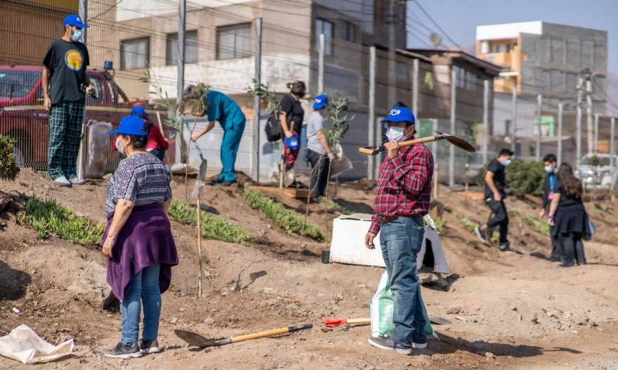 Más de 300 árboles han sido plantados gracias a la campaña "Un niño, un árbol" en Antofagasta