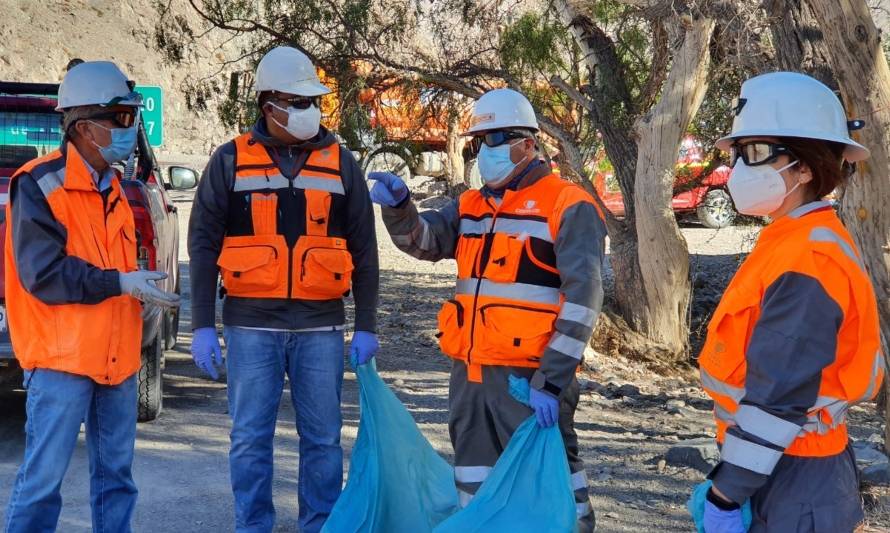 Voluntarios de empresas colaboradoras de Codelco Salvador realizaron limpieza en comunidad Colla 