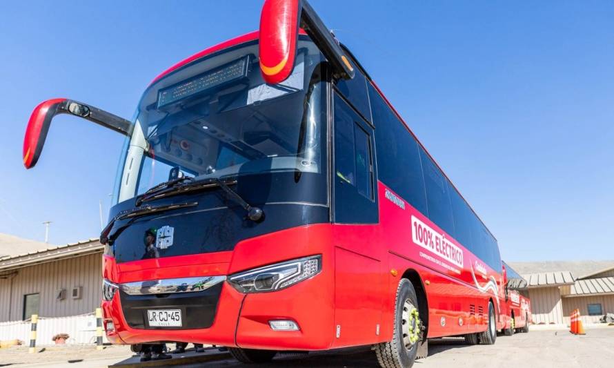 Candelaria presenta buses eléctricos para transporte de trabajadores