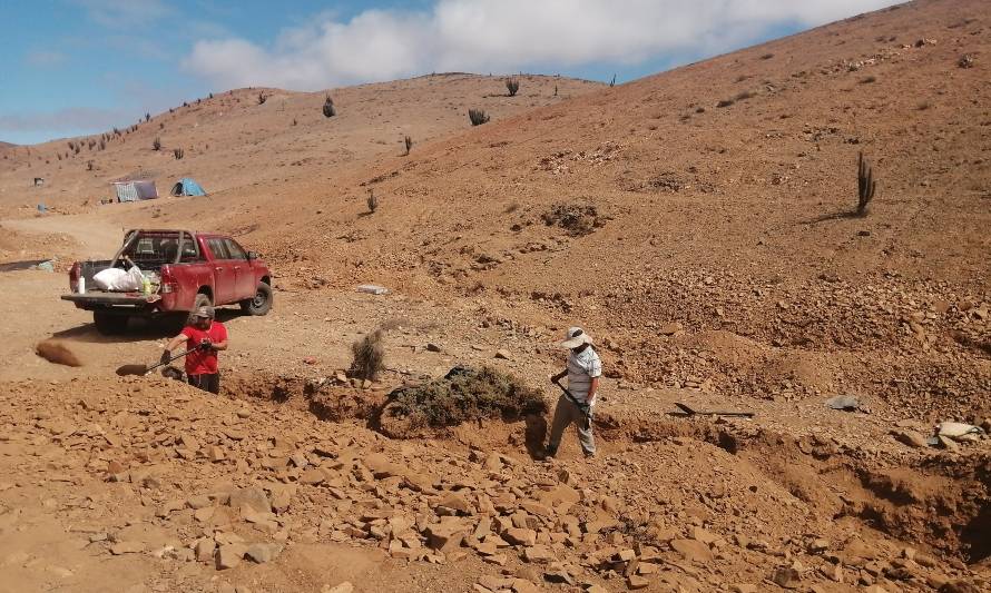 Detectan actividad minera ilícita en Parque Nacional Llanos de Challe