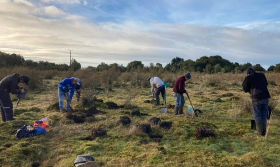 SQM apoya Reforestación en Chiloé