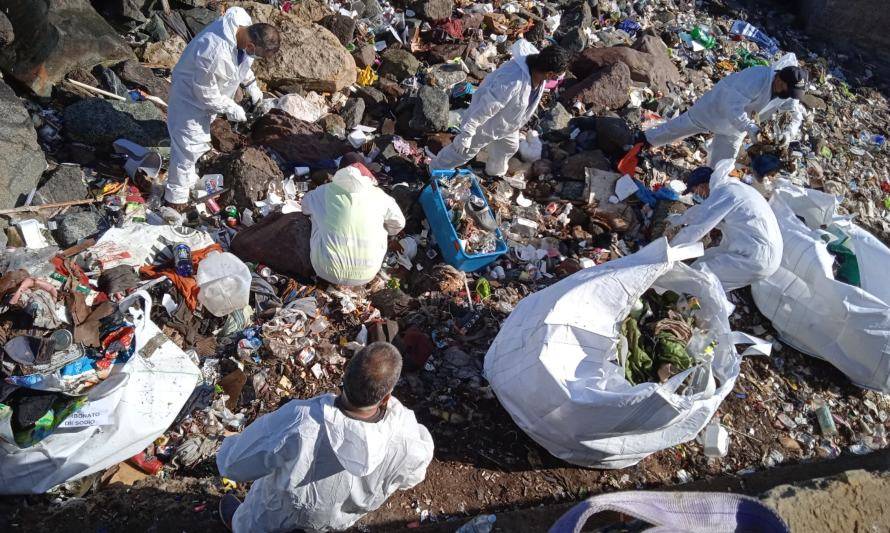Comunidad Logística de Puerto Antofagasta participa en limpieza del borde costero