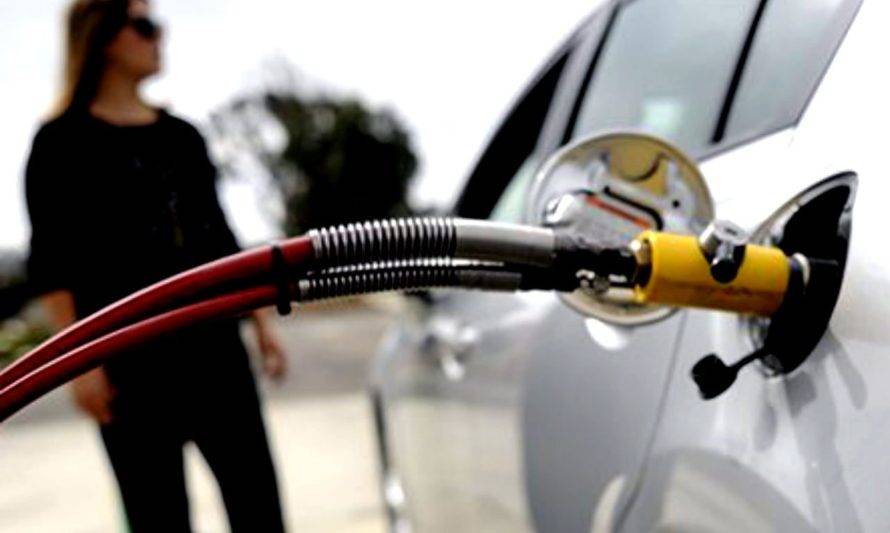 Expertos internacionales destacan la importancia del gas vehicular para la transición energética