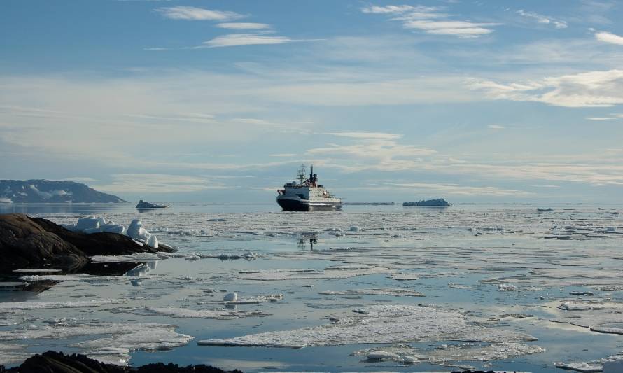 Estudio comparó presencia de metales trazas en el Ártico y la Antártica