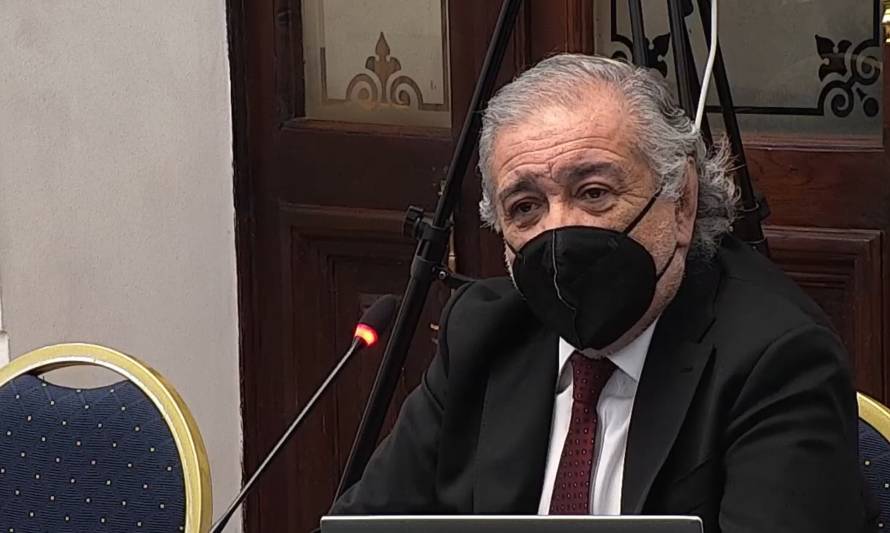Sergio Hernández expuso en la Comisión de Principios Constitucionales de la Convención Constitucional