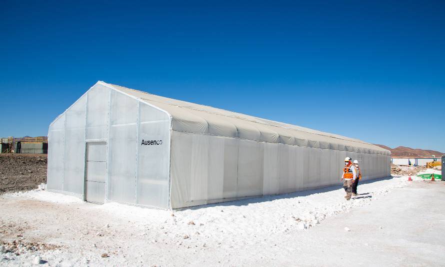 Albemarle inauguró primer vivero en Planta Salar de Atacama
