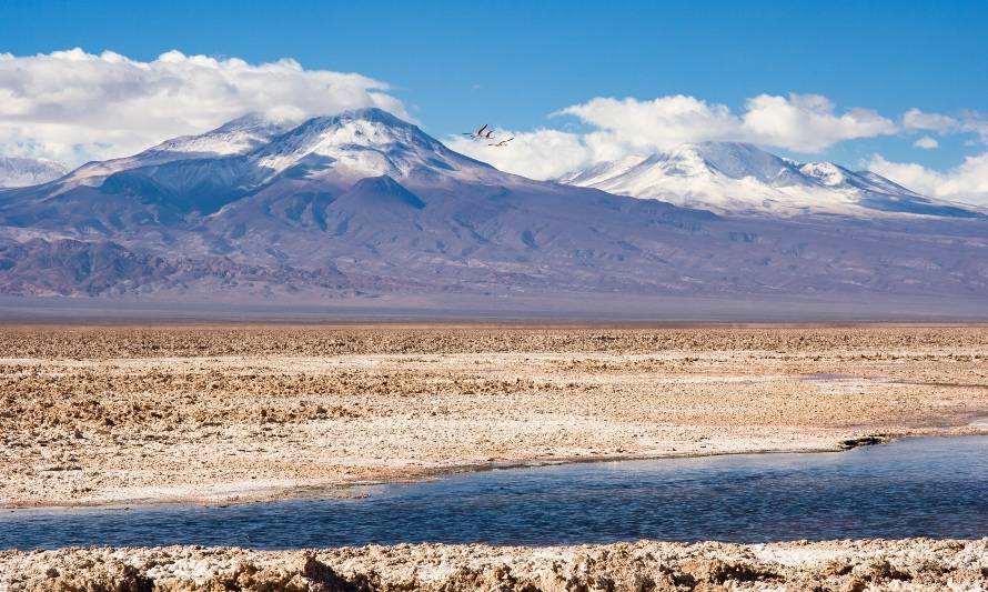 BMW se une a proyecto de investigación del litio en Chile