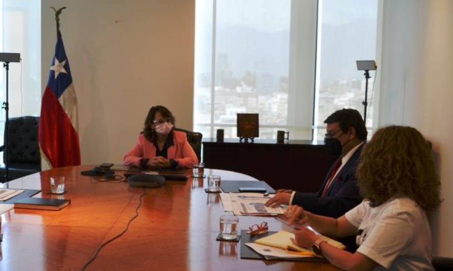 La Cámara Minera de Chile se reunió con la ministra Hernando