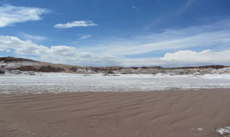 Universidad de Atacama crea sistema de alerta temprana en humedales del Salar de Maricunga
