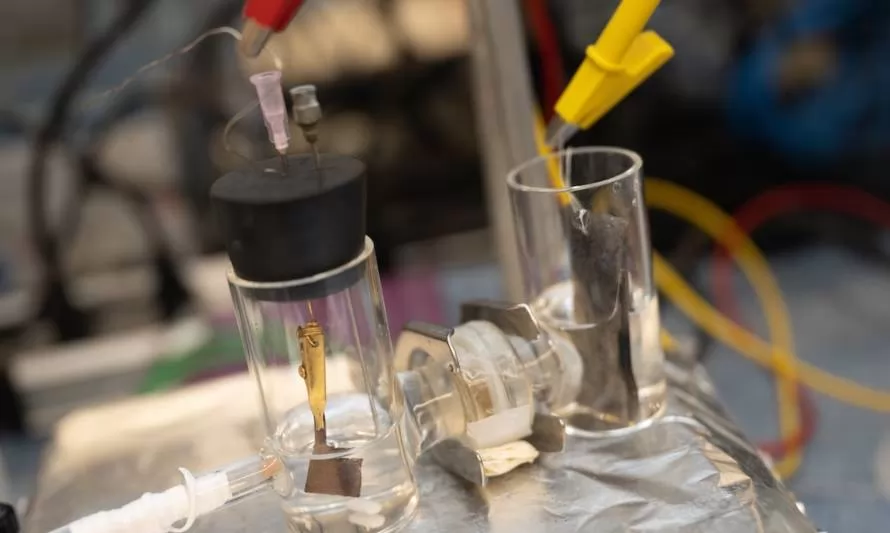 Equipo de investigación desarrolló catalizador que puede extraer amoníaco del agua
