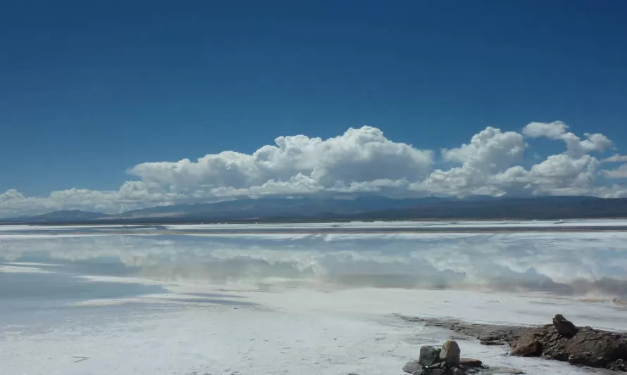 Reclamación de sociedad minera que pretende explotar salmueras en el Salar de Atacama quedó en acuerdo