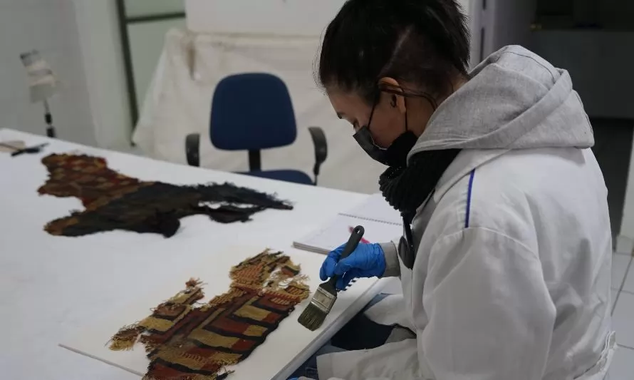 Minera El Abra apoya conservación del patrimonio arqueológico en Museo de Historia Natural de Calama