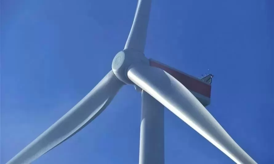 Enel Green Power y HIF Chile retiran EIA de proyecto eólico Faro del Sur