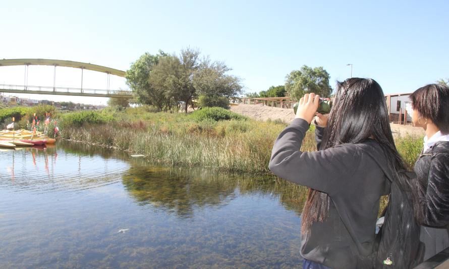 Mejoran circuito para conocer flora y fauna en Parque El Loa