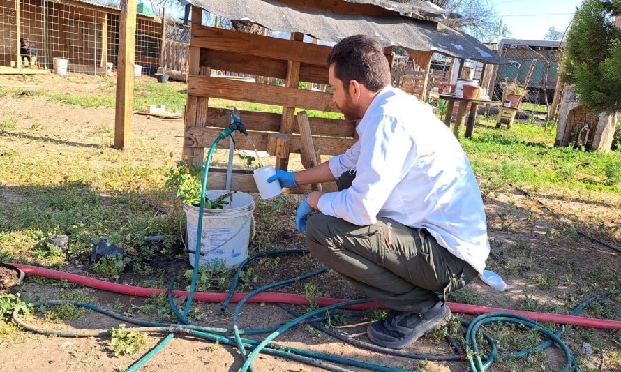 Codelco Andina realiza programa de monitoreo ambiental en Huertos Familiares 