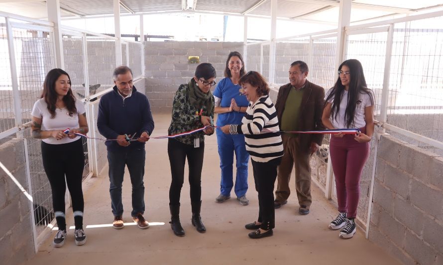 Fundación animalista inaugura nueva infraestructura con fondos de Codelco Distrito Norte