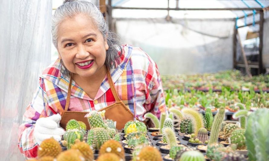 “Mujeres con Sentido Inclusivo” abre postulaciones a emprendedoras 