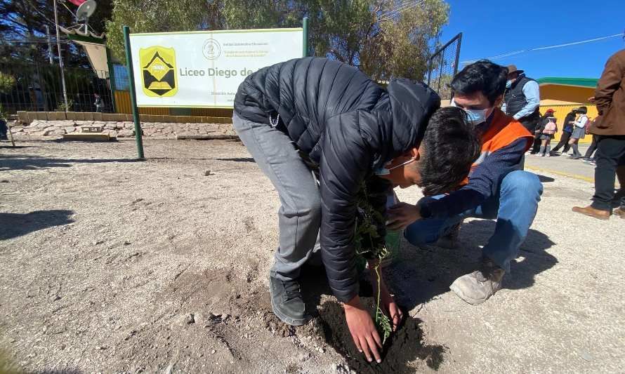 Estudiantes del Liceo Diego de Almeida de El Salvador realizan plantación de árboles endémicos en su establecimiento