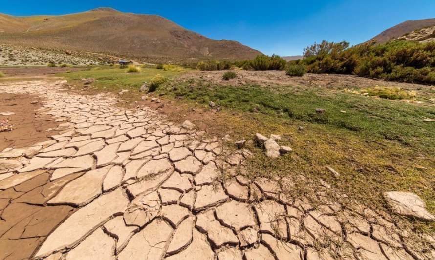 Comisión de Medio Ambiente despachó proyecto sobre carbono neutralidad